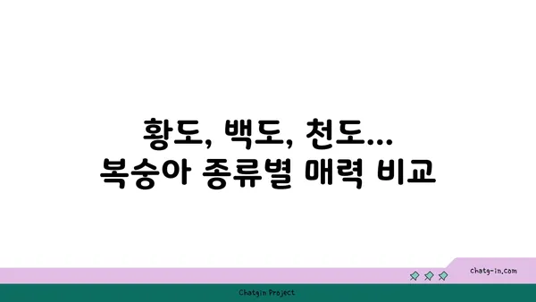 복숭아의 맛있는 비밀| 건강과 즐거움을 위한 과일 | 복숭아 효능, 복숭아 종류, 복숭아 레시피