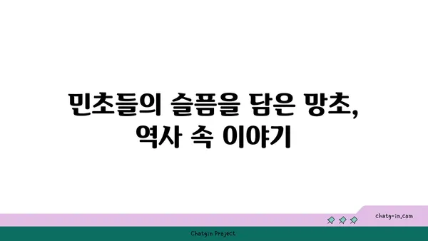 망초, 이름의 유래와 함께 알아보는 잡초의 역사 | 망초, 풀, 식물, 민담, 역사