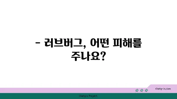 러브버그, 종류별 증상과 대처법 | 러브버그, 곤충, 해충, 피해, 방제