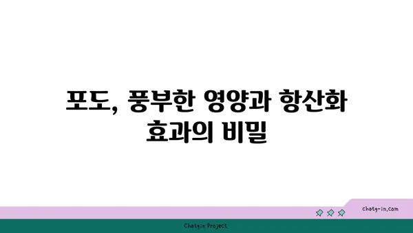 포도의 놀라운 효능| 특성과 영양학적 가치 | 건강, 항산화, 면역력, 다이어트