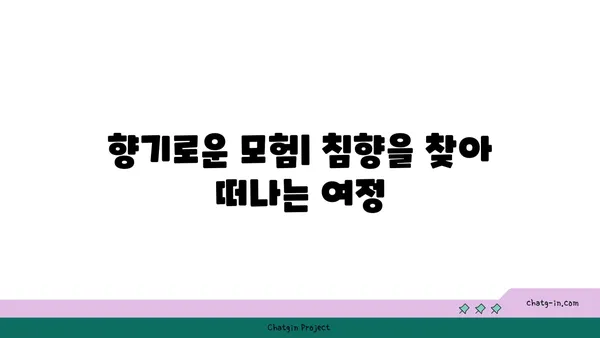 침향 수집| 향기로운 모험의 길 따라가기 | 침향 종류, 감별법, 수집 팁, 가치 탐구