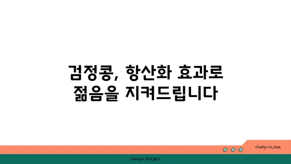 검정콩| 과학이 입증한 완전식품, 활력과 수명 연장의 비밀 | 건강, 영양, 장수, 항산화, 콩 효능