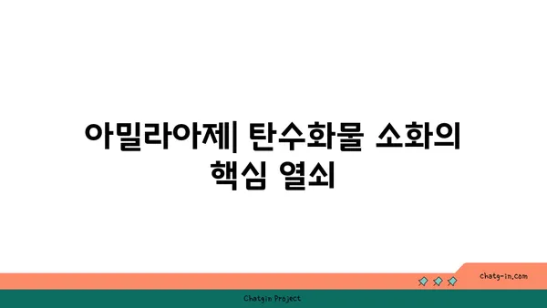 아밀라아제의 모든 것| 작용 원리부터 건강까지 | 소화 효소, 췌장, 혈당, 건강 정보