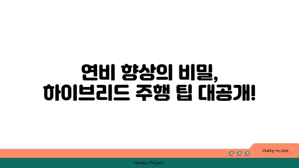 하이브리드 자동차 시험 주행 가이드| 최적의 경험을 위한 단계별 안내 | 하이브리드, 시승, 연비, 주행 팁, 전기차