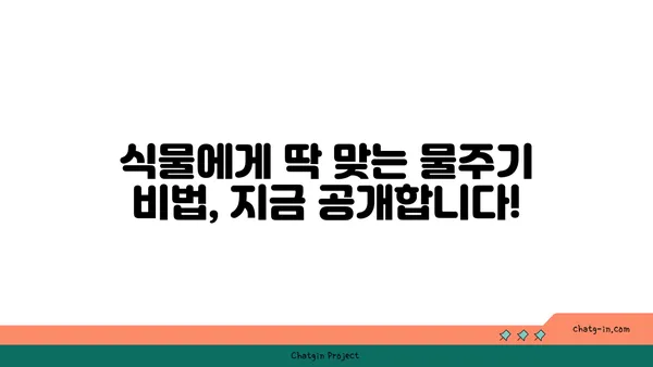 식물의 건강을 위한 물주기 완벽 가이드 | 식물 관리, 물주기 팁, 식물 종류별 물주기