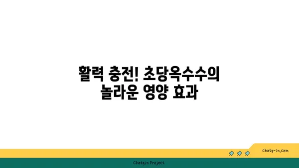 초당옥수수| 에너지 부스트를 위한 자연의 선물 | 건강, 영양, 맛, 레시피