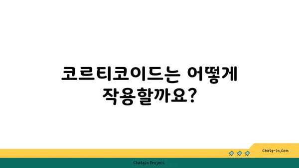 코르티코이드의 이해| 작용 기전, 종류, 부작용 및 주의사항 | 스테로이드, 항염증제, 부신피질호르몬