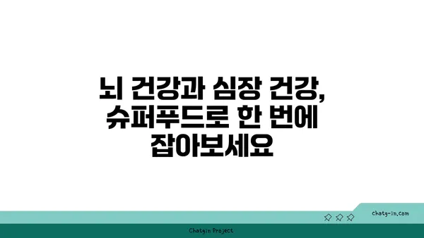 뇌 건강과 심장 건강을 동시에 잡는 5가지 슈퍼푸드 | 인지 쇠퇴 예방, 심혈관 질환 퇴치, 건강 식단