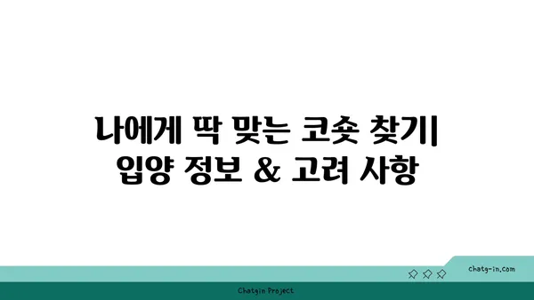 코리안 숏헤어 완벽 가이드| 성격, 건강, 털 관리, 입양 정보 총정리 | 고양이, 품종, 분양, 특징