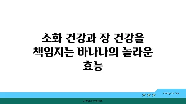 바나나, 건강한 생활을 위한 7가지 놀라운 이점 | 건강, 영양, 바나나 효능, 식단