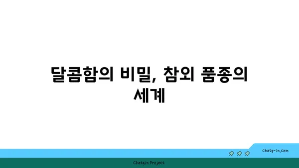 참외의 거대한 달콤함, 그 비밀을 밝히다 | 참외 품종, 당도, 재배, 꿀팁