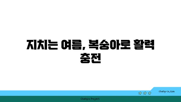 복숭아의 놀라운 영양 효과| 여름철 건강 지키는 비밀 | 복숭아 효능, 여름철 과일, 건강 식단