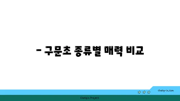 구문초의 매력에 빠지다| 종류별 특징과 관리법 | 구문초, 식물, 관리, 종류, 키우기