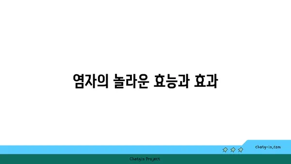 염자| 알아야 할 모든 것 | 염자, 염자정보, 염자 종류, 염자 효능, 염자 활용법