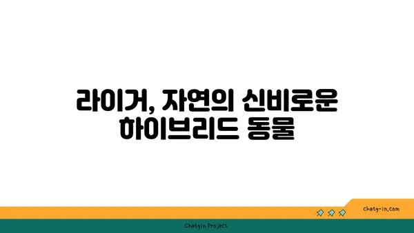 라이거| 사자와 호랑이의 만남, 놀라운 하이브리드 동물의 모든 것 | 라이거, 하이브리드 동물, 사자, 호랑이, 생물학