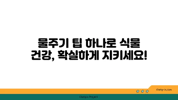 식물의 건강을 위한 물주기 완벽 가이드 | 식물 관리, 물주기 팁, 식물 종류별 물주기