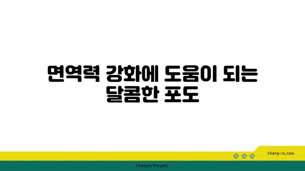 포도의 놀라운 효능| 특성과 영양학적 가치 | 건강, 항산화, 면역력, 다이어트