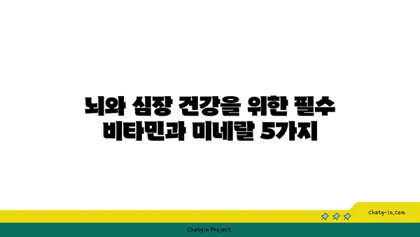 심뇌 건강 지키는 5가지 필수 영양소| 비타민과 미네랄 | 뇌 건강, 심혈관 건강, 건강 관리, 영양 팁