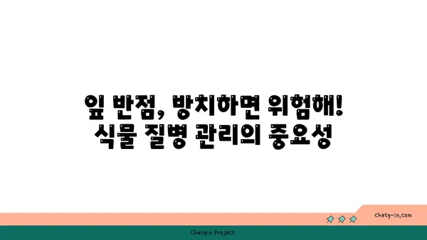 잎에 반점이 생기는 병 종류| 식물 질병 진단 가이드 | 식물 병해, 잎 반점, 식물 질병 관리