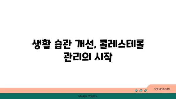 콜레스테롤 낮추는 3가지 효과적인 방법 | 건강 식단, 운동, 생활 습관 개선