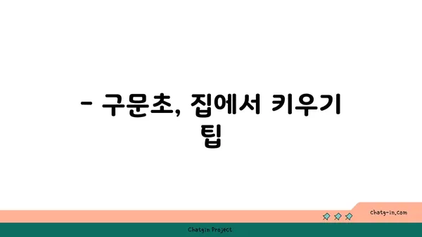 구문초의 매력에 빠지다| 종류별 특징과 관리법 | 구문초, 식물, 관리, 종류, 키우기