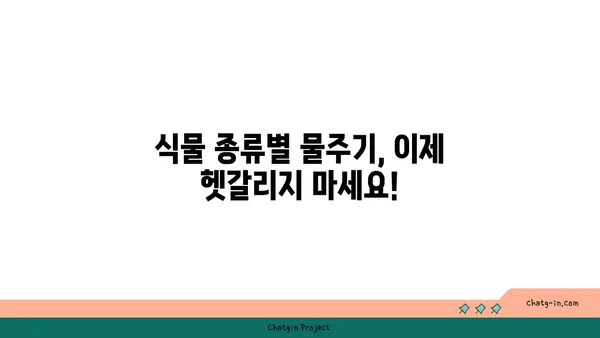 식물의 건강을 위한 물주기 완벽 가이드 | 식물 관리, 물주기 팁, 식물 종류별 물주기