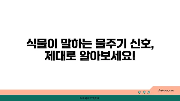 식물의 건강을 위한 물주기 완벽 가이드 | 식물 관리, 물주기 팁, 식물 종류별 물주기