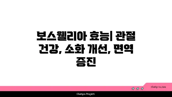 보스웰리아의 효능과 부작용| 알아야 할 모든 것 | 건강, 천연, 염증, 관절, 소화, 부작용