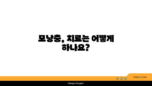 모낭충, 제대로 알고 관리하기| 증상, 원인, 치료 및 예방 가이드 | 피부 트러블, 각질, 가려움, 모낭충 치료, 모낭충 예방