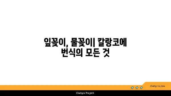 칼랑코에 키우기 완벽 가이드| 종류별 특징, 관리법, 번식 방법 | 다육식물, 실내식물, 잎꽂이, 물꽂이