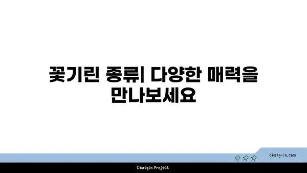 꽃기린 키우기 완벽 가이드 | 꽃기린 종류, 물주기, 번식, 병충해 관리