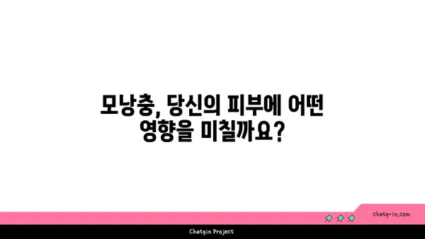 모낭충, 제대로 알고 관리하기| 증상, 원인, 치료 및 예방 가이드 | 피부 트러블, 각질, 가려움, 모낭충 치료, 모낭충 예방