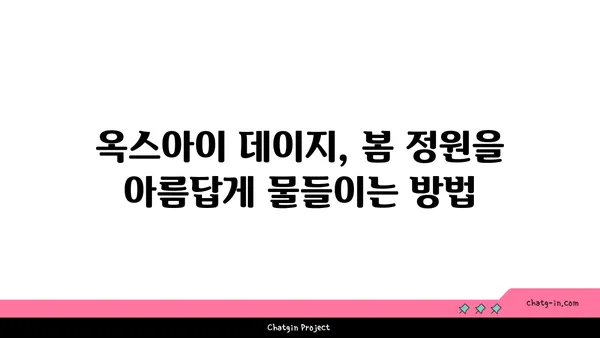 옥스아이 데이지| 봄을 알리는 사랑스러운 꽃 | 옥스아이 데이지, 봄꽃, 꽃말, 재배 정보, 사진