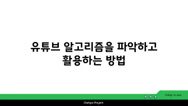 YouTube 영상 제작 전문가가 알려주는 성공적인 채널 운영의 핵심 전략 | 유튜브, 영상 제작, 채널 성장, 콘텐츠 전략