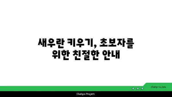 새우란 재배, 성공적인 개화를 위한 완벽 가이드 | 새우란 키우기, 새우란 종류, 새우란 번식