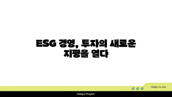 지속 가능한 투자의 미래를 이끌다| 지속 가능성 금융 분석사 인증 | ESG, 사회적 책임 투자, 지속 가능한 금융