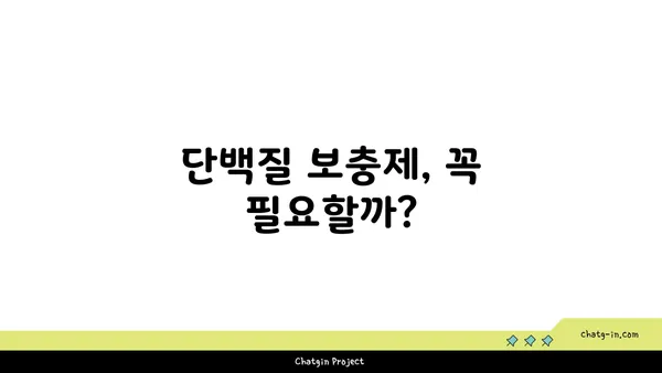 단백질 보충제, 진짜 효과는? | 오해와 진실, 그리고 효과적인 활용법