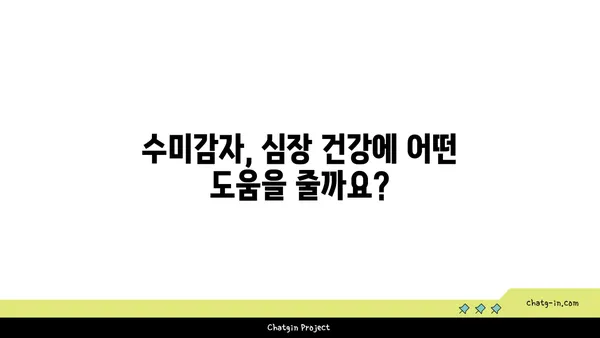 수미감자, 심장 건강 지키는 슈퍼푸드? | 심장 건강, 혈압, 콜레스테롤, 효능