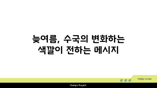 수국 꽃말의 가을 이야기| 늦여름의 아름다움과 깊어지는 의미 | 수국, 꽃말, 가을, 의미, 늦여름