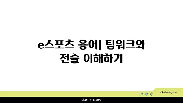 e스포츠 팬이라면 꼭 알아야 할 5가지 용어 | 게임, 경쟁, 전략, 선수