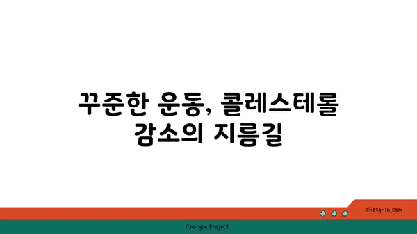 콜레스테롤 낮추는 3가지 효과적인 방법 | 건강 식단, 운동, 생활 습관 개선