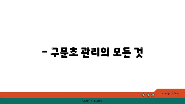 구문초의 매력에 빠지다| 종류별 특징과 관리법 | 구문초, 식물, 관리, 종류, 키우기