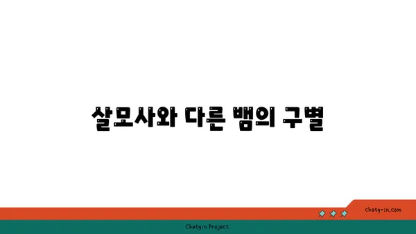 살모사, 알아야 할 모든 것 | 독사, 뱀, 위험, 구별, 서식지, 행동, 응급처치