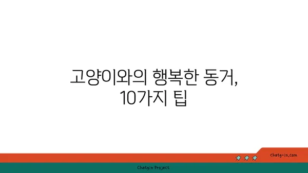 고양이와 행복하게 살아가는 10가지 관리법 | 고양이 키우기, 고양이 관리, 반려묘 팁