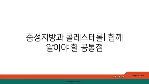 중성지방과 콜레스테롤| 헷갈리는 두 지방의 비밀 | 건강, 지방, 혈액, 차이점, 공통점