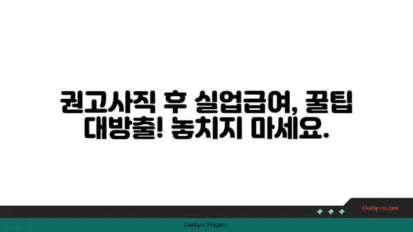 잘못된 권고사직, 좌절은 NO! 실업급여 신청부터 받는 꿀팁까지 | 권고사직, 실업급여, 실업급여 신청, 꿀팁, 지원