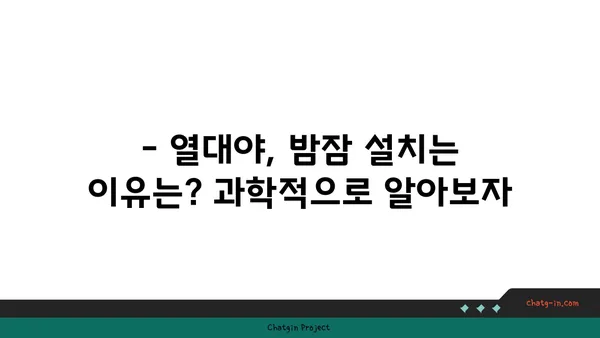 열대야, 잠 못 이루는 밤의 과학| 시원한 밤잠을 위한 5가지 꿀팁 | 열대야, 수면, 숙면, 건강, 팁