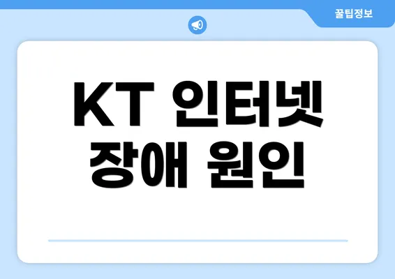 KT 인터넷 장애 원인