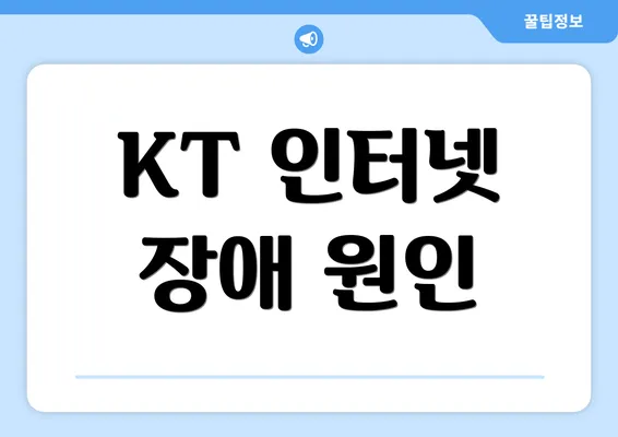 KT 인터넷 장애 원인