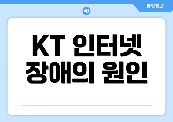 KT 인터넷 장애의 원인